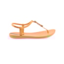 007-IP-21-005-Camel2_1-2