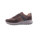 162-0-26038-Castanho3_1-3