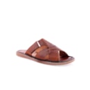 045-201-162-Camel1_1-1