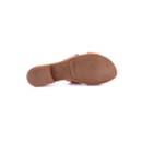 082-785-Camel5_1-5