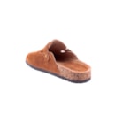 252Y-25230-Camel4_1-4
