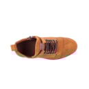 043-230-C-Camel6_1-6