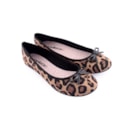 254-5726115-27783-Leopardo3_1-3