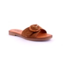 081-N662-C-Camel1_1-1