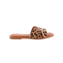 071-SN08-Leopardo2_1-2