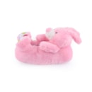 007-IS-16-005-Rosa2_1-2