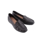 162-018-1-Preto3_1-3